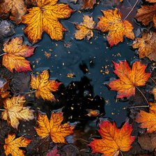 Cross stitch pattern: #3004442