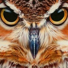 Cross stitch pattern: #3004609