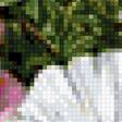 Preview of cross stitch pattern: #3004635