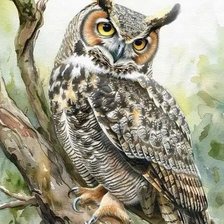 Cross stitch pattern: #3004729