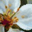 Preview of cross stitch pattern: #3005334