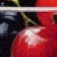 Preview of cross stitch pattern: #3005338