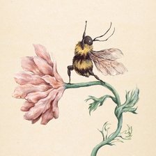 Cross stitch pattern: #3005400