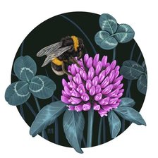 Cross stitch pattern: #3005401