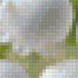 Preview of cross stitch pattern: #3005698