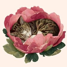 Cross stitch pattern: #3005832