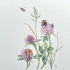 Cross stitch pattern: #3005836