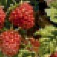 Preview of cross stitch pattern: #3005982