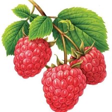 Cross stitch pattern: #3006250