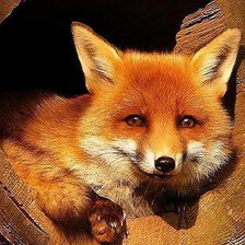 Cross stitch pattern: #3006397