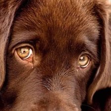Cross stitch pattern: #3006457