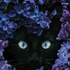 Cross stitch pattern: #3006471