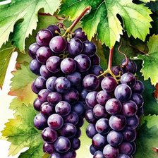 Cross stitch pattern: #3006612