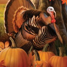 Cross stitch pattern: #3006664