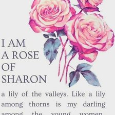 Cross stitch pattern: #3006688