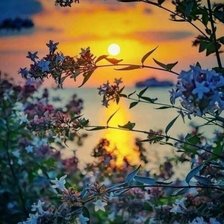 Cross stitch pattern: #3006923