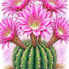 Cross stitch pattern: #3006947