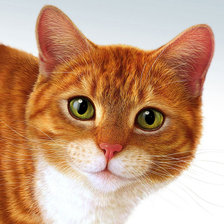 Cross stitch pattern: #3007297