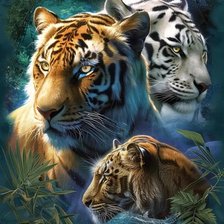 Cross stitch pattern: #3007823
