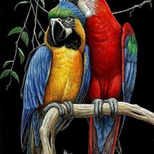 Cross stitch pattern: #3008054