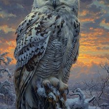 Cross stitch pattern: #3008148