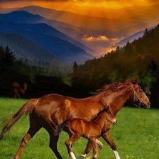 Cross stitch pattern: #3008171