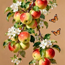 Cross stitch pattern: #3009684