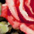 Preview of cross stitch pattern: #3010807