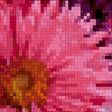 Preview of cross stitch pattern: #3010895