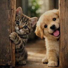 Cross stitch pattern: #3011004