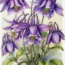 Cross stitch pattern: #3011094