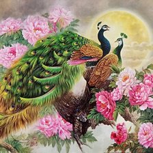 Cross stitch pattern: #3011423