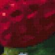 Preview of cross stitch pattern: #3012484