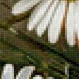 Preview of cross stitch pattern: #3013130