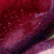 Preview of cross stitch pattern: #3013577