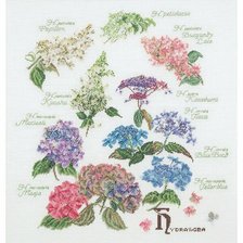 Cross stitch pattern: #3013632