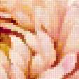 Preview of cross stitch pattern: #3014107
