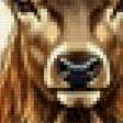 Preview of cross stitch pattern: #3014921
