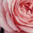 Preview of cross stitch pattern: #3015520