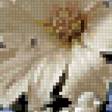 Preview of cross stitch pattern: #3015620