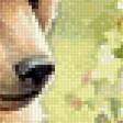 Preview of cross stitch pattern: #3016158