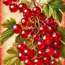 Cross stitch pattern: #3016391