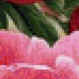 Preview of cross stitch pattern: #3016582