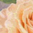 Preview of cross stitch pattern: #3016583