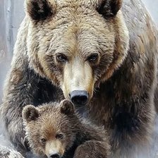 Cross stitch pattern: #3017007