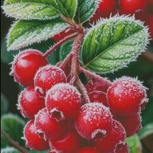 Cross stitch pattern: #3017189