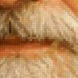 Preview of cross stitch pattern: #3017685