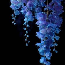 Cross stitch pattern: #3017772