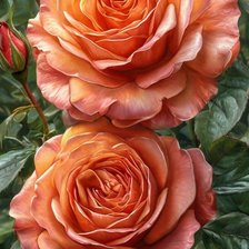 Cross stitch pattern: #3018564