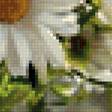 Preview of cross stitch pattern: #3018651